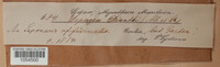 Image Associated With the Occurence